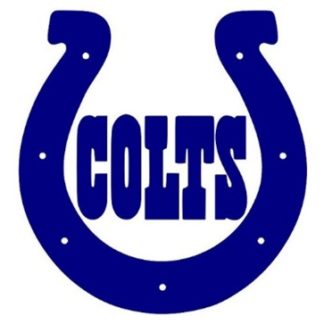Indianapolis Colts Ticket Package - Auction Item #4