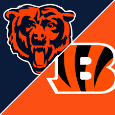 Bengals vs. Bears 8/22 Suite Experience #3