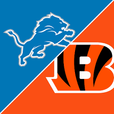 Bengals vs. Lions 8/13 Suite Experience #7